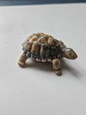 Wade Whimsey Tortoise #2