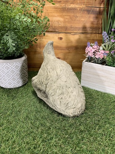 Stone garden digging dog novel - digging,