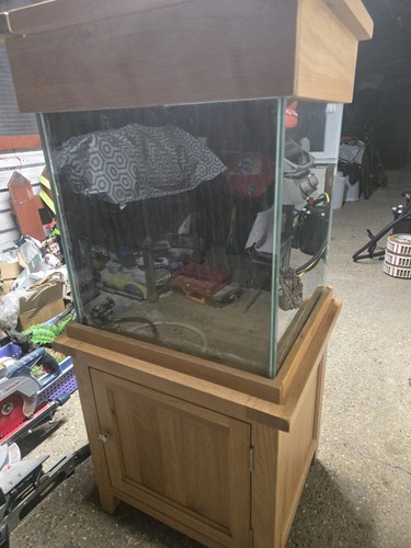 Aqua oak tank - oak, cube**large**