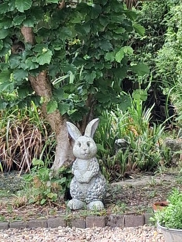 Vintage rabbit garden - vintage,