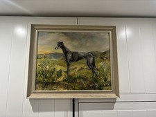 GREYHOUND RACE DOGS CANINE