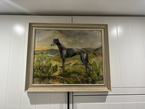 Greyhound race dogs - greyhound,