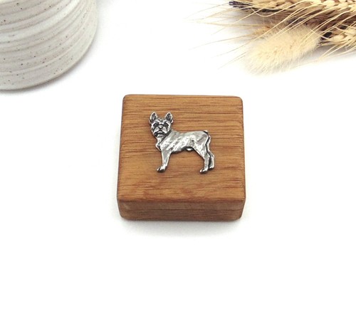 Boston terrier trinket box - terrier,