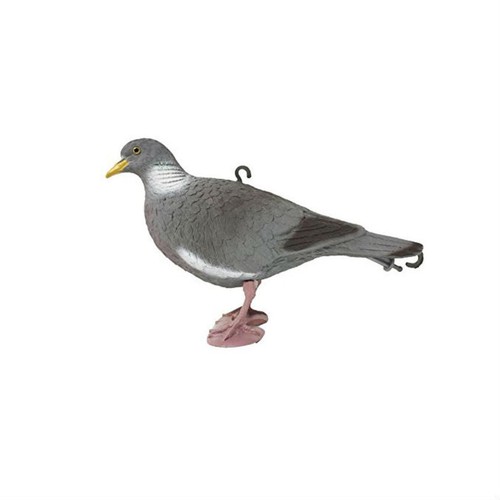 Sport plast wood pigeon - sport,