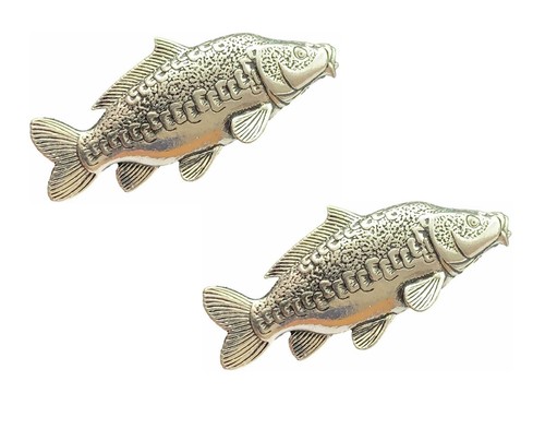 Mirror carp fish - mirror,