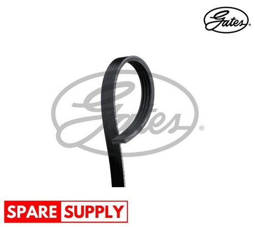 Ribbed belts for - v-ribbed,