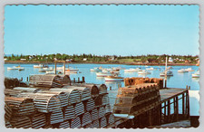 Bass Harbor Maine Lobster