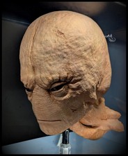 Fire In The Sky Alien Head Prop 1.1 Scale Replica Unpainted Kit