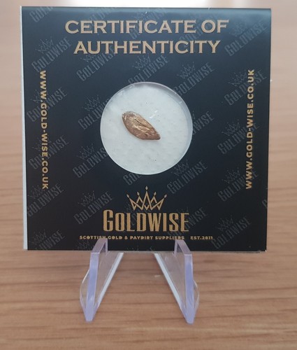 Scottish gold nugget hand - nugget,