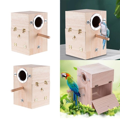 Parrot breeding box - breeding,