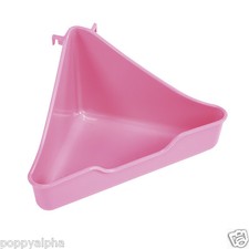 Ferret Rat Chinchilla Corner