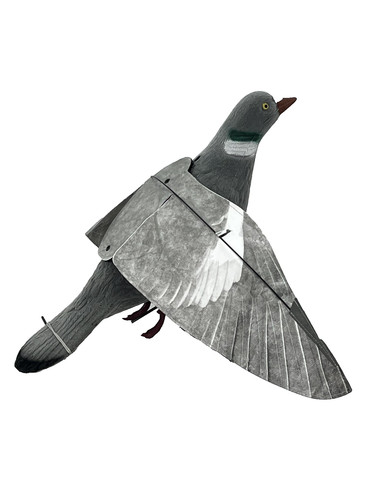 New enticer winged pigeon - enticer,