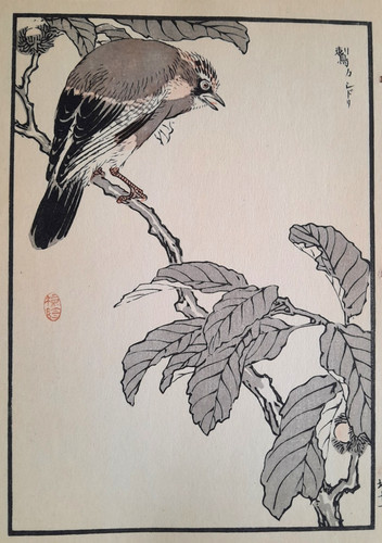 Bairei jay japanese - bairei,