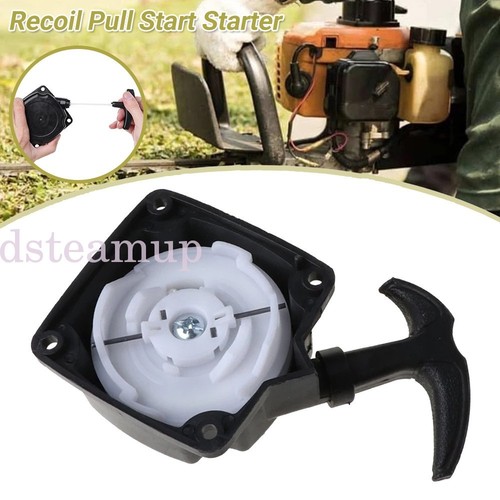Recoil starter pull - start, pawl