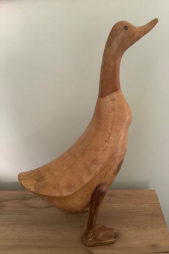 Dcuk brown duck - ,