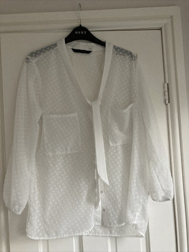 Zara white pussy - pussy, chiffon
