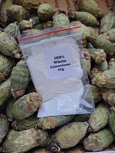 10pcs young dried - dried, areca