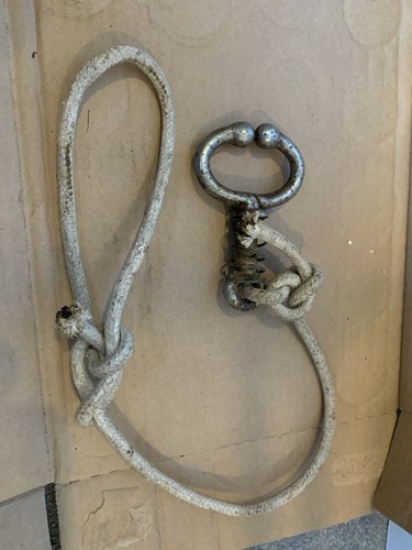 Vintage bull nose - , ring