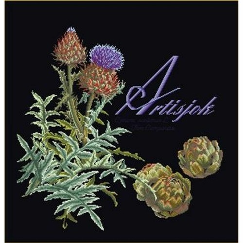 Artichoke cross stitch - artichoke, kit