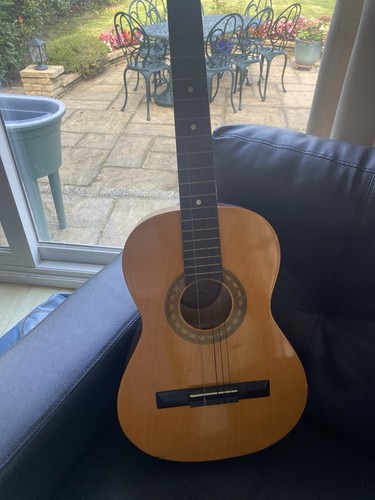 Encore vintage acoustic guitar - encore,