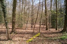 Photo 6x4 St Peter, Reymerston - Dead hearse North Green/TG0206  c2011