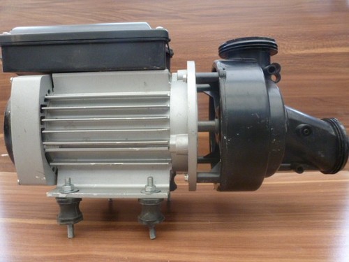 Spa bath jacuzzi pump motor