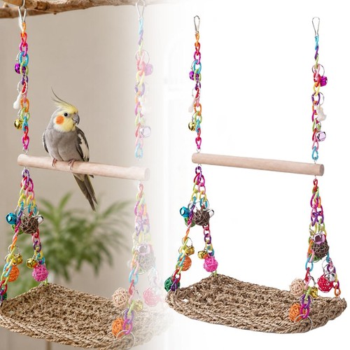 Parrot swing bird toy - bird,