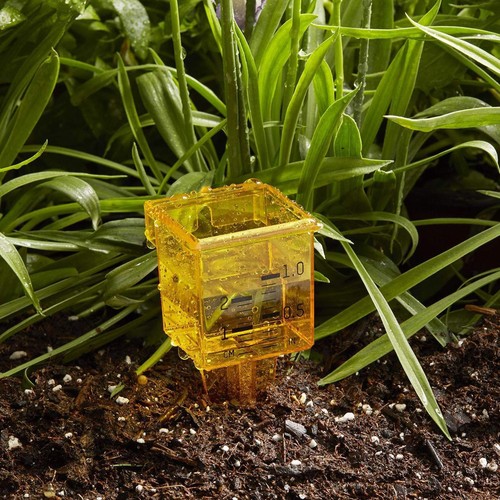 Water rain gauge - water, 1.5in