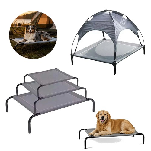 Heavy duty dog - dog, pet