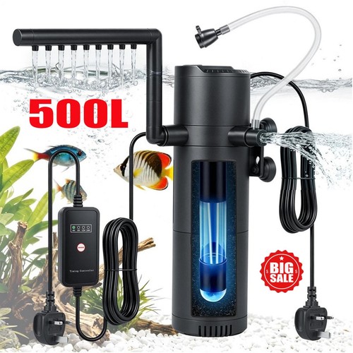 Aquarium fish tank - fish,