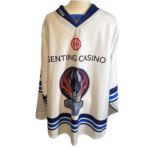 Coventry blaze ice hockey - coventry,