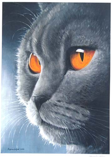 British blue shorthair cat - cat, art