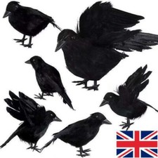 6PCS Black Lifesize Raven