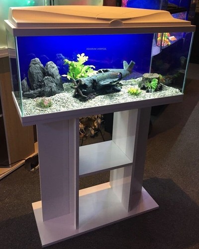 Brand new large aquarium - **brand, &