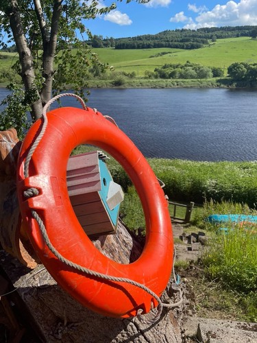 Life buoy safety ring perri - safety,