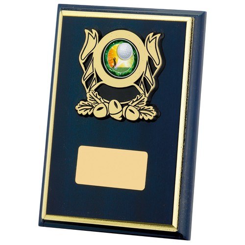 Multi sport award blue wooden - award,