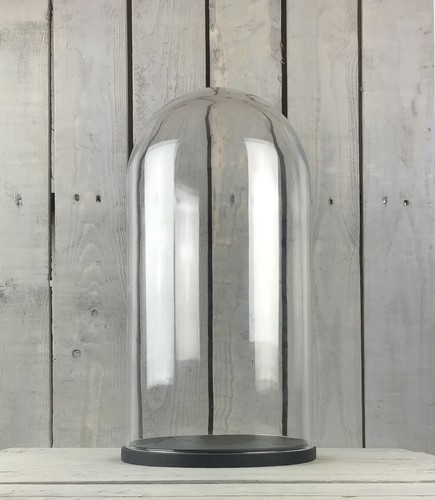 Emh small glass dome - dome, cloche