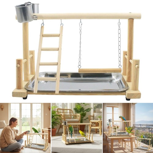 Parrot playstand bird plays - playstand,