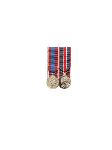 Court mounted miniature - court, medal