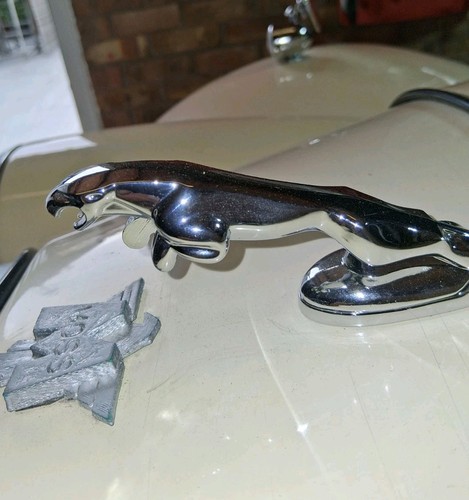 Jaguar chrome bonnet - bonnet, emblem