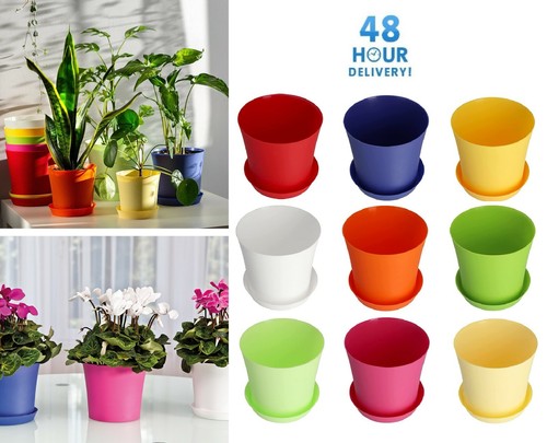 Plant flower pot plastic - plant,