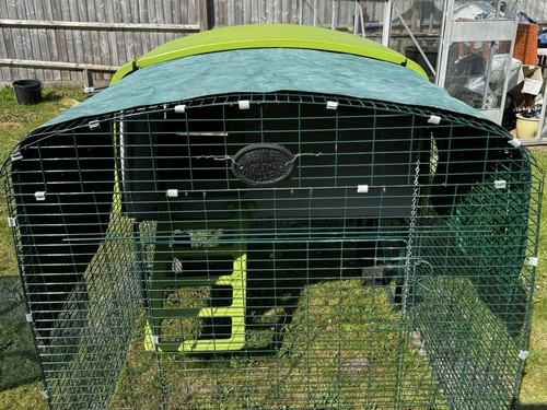 Omlet eglu chicken coop - coop, with