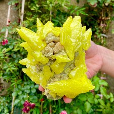 2.1LB Minerals ** LARGE NATIVE SULPHUR OnMATRIX Sicily- FREE