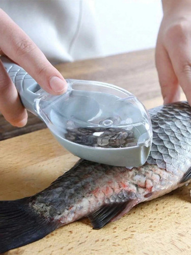 Fish skin brush scraping - fish,