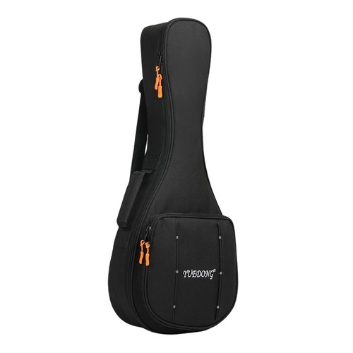 Mandolin storage case - mandolin,