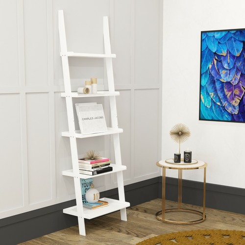 Ladder shelving unit - ladder,