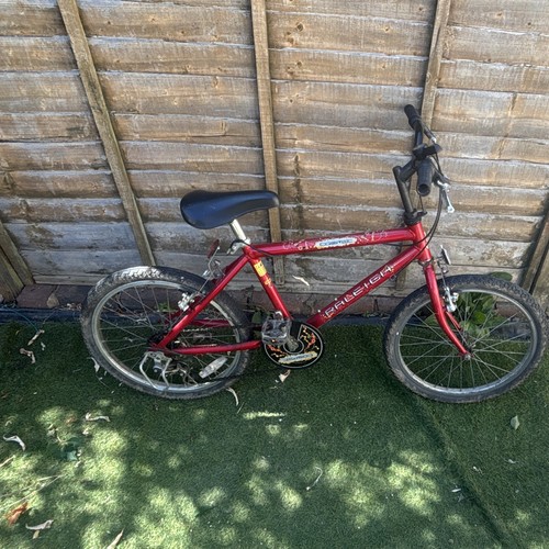 Raleigh flair bmx - raleigh,
