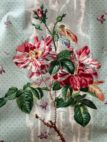 Colefax fowler gallica - &,