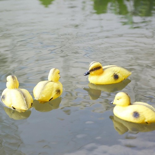 Floating decoy ducks outdoor - decoy,