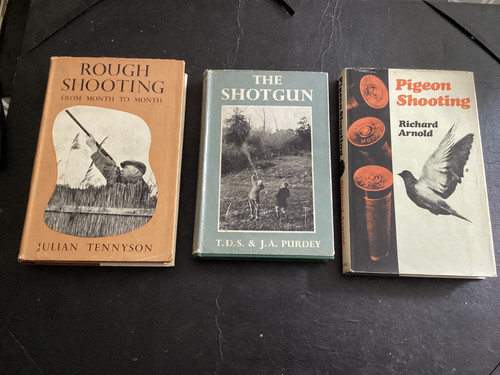 Rough pigeon shooting - pigeon, the